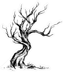 Old Dry Tree Sticker