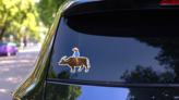 Old Man Riding Water Buffalo Sticker on a Rear Car Window (New) example