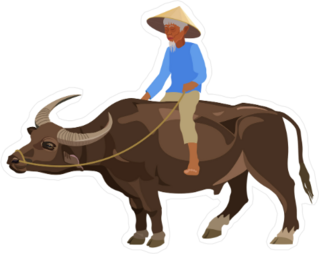 Old Man Riding Water Buffalo Sticker