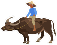 Old Man Riding Water Buffalo Sticker