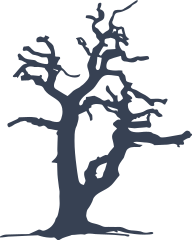 Old Oak Tree Without Leaves Sticker