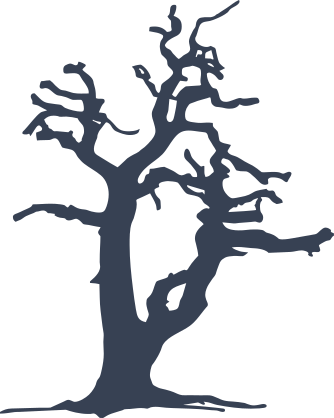 Old Oak Tree Without Leaves Sticker