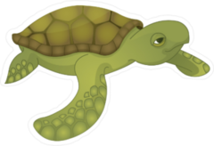Old Turtle Sticker