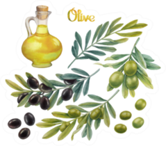Olive Oil In Bottle With Olive Branches Sticker
