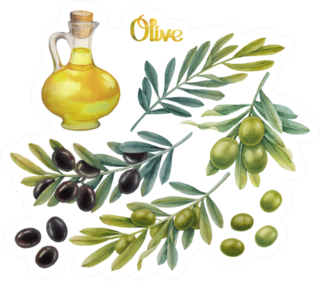 Olive Oil In Bottle With Olive Branches Sticker