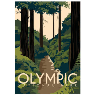 Olympic National Park Washington Illustration Sticker