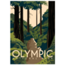 Olympic National Park Washington Illustration Sticker