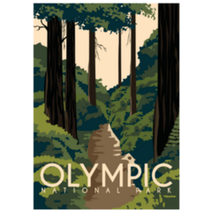 Olympic National Park Washington Illustration Sticker