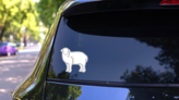 One Continuous Line Drawing Of Cute Sheep Sticker on a Rear Car Window (New) example
