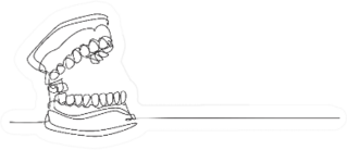 One Continuous Line Drawing Of Human Teeth Set Sticker