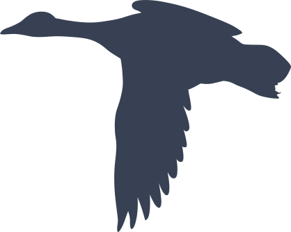 One Flying Duck Sticker