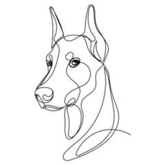 One Line Doberman Sticker