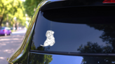 One Line Rottweiler Sticker on a Rear Car Window (New) example