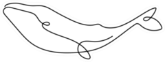 One Line Whale Sticker