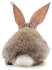 One Rabbit Back Isolated Sticker
