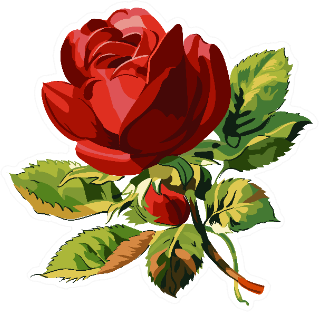 One Red Rose Wedding Drawing Sticker