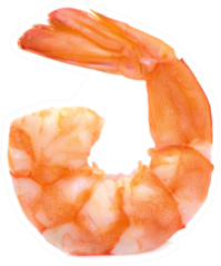 One Shrimp Isolated Sticker