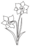 One Single Line Drawing Of Two Daffodils Sticker