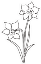 One Single Line Drawing Of Two Daffodils Sticker