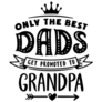 Only The Best Dads Get Promoted To Grandpa Sticker