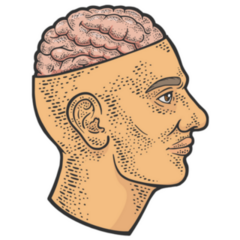Open Brain In Head Color Sketch Sticker