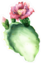 Opuntia Cactus With Flower Sticker