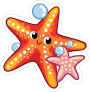 Orange and Pink Starfish Sticker