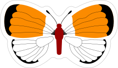 Orange and Red Butterfly Stickers and Decals