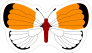 Orange and Red Butterfly Stickers and Decals