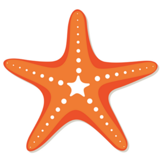 Orange and White Starfish Sticker