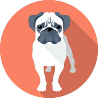 Orange Angry Pug Sticker