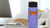 Orange Butterfly Sticker on a Water Bottle (New) example