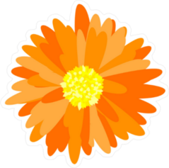 Orange Gerbera Daisy Sticker