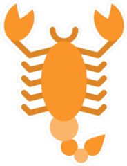 Orange Halloween Scorpion Sticker