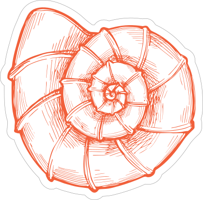 Orange Hand Drawn Nautilus Sticker