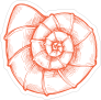 Orange Hand Drawn Nautilus Sticker