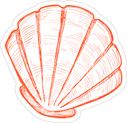 Orange Hand Drawn Scallop Sticker