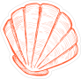 Orange Hand Drawn Scallop Sticker