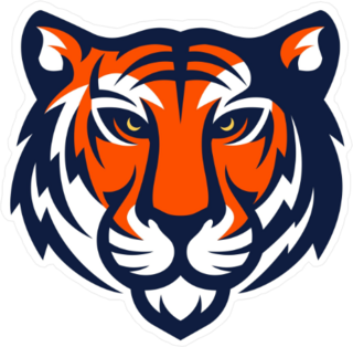 Orange Tiger Logo Design Sticker