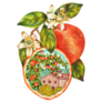 Orange Tree With Flowers From Majorca, Spain Sticker