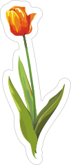 Orange Tulip Flower Sticker