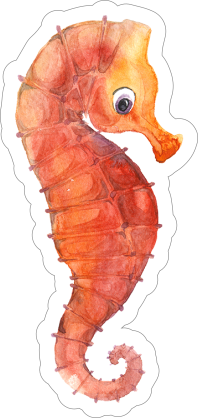Orange Watercolor Seahorse