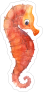 Orange Watercolor Seahorse