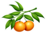 Oranges With Stem And Leaves Sticker