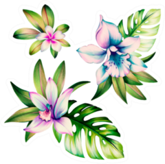 Orchid Flowers And Leaves Watercolor Illustration