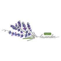 Organic Lavender Sticker