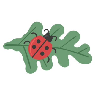 Organic Oak Leafladybug Sitting On Green Leaf Sticker