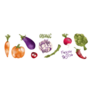 Organic Tasty Bright Juicy Vegetable Set Garden Sticker