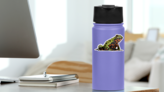Oriental Fire-bellied Toad Sticker on a Water Bottle (New) example