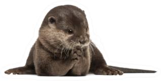 Oriental Small-clawed Otter Sticker